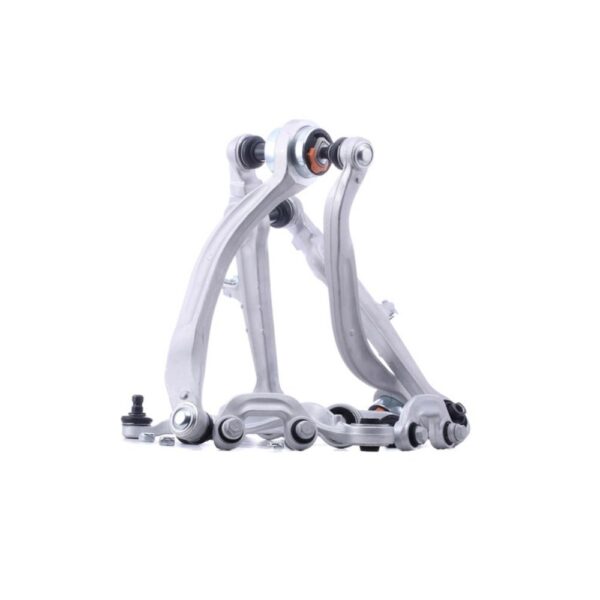 TRAPECIO IZQUIERDO DERECHO