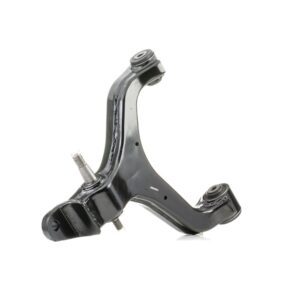 TRAPECIO INFERIOR DERECHO