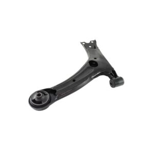 TRAPECIO INFERIOR DERECHO