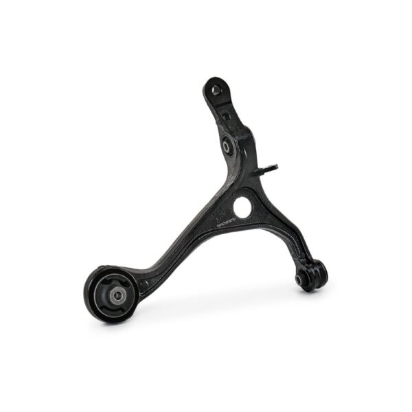 TRAPECIO INFERIOR DERECHO