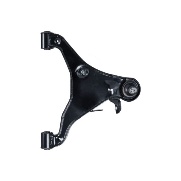 TRAPECIO INFERIOR DERECHO