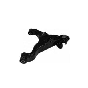 TRAPECIO INFERIOR DERECHO