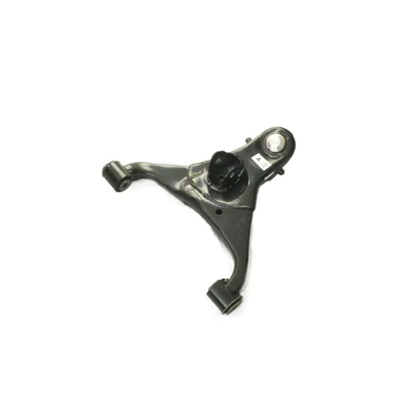 TRAPECIO INFERIOR DERECHO