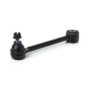 TRAPECIO POSTERIOR AMBOS LADOS