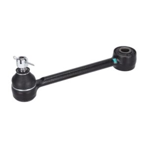 TRAPECIO POSTERIOR AMBOS LADOS