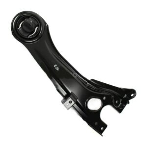 TRAPECIO POSTERIOR DERECHO